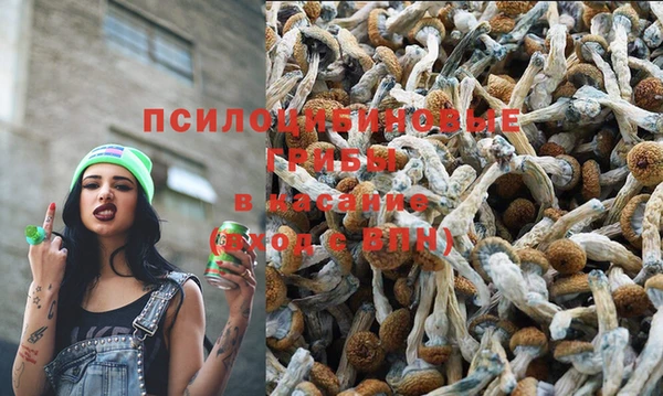 кокаин премиум Аркадак