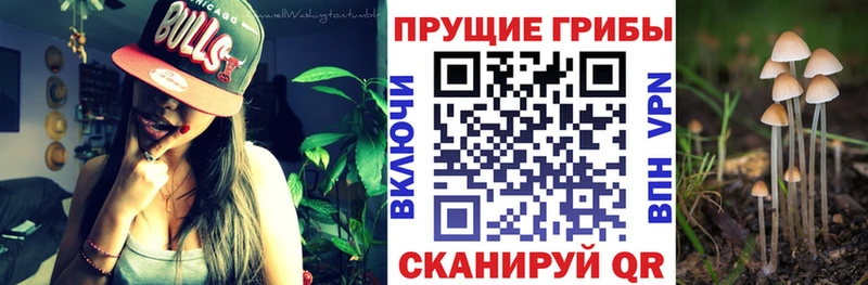 Галлюциногенные грибы прущие грибы  Железногорск 
